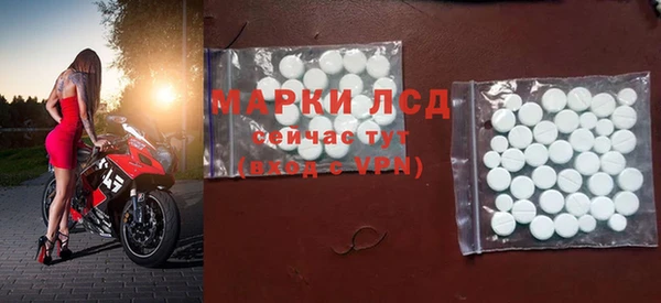 крисы Вязьма
