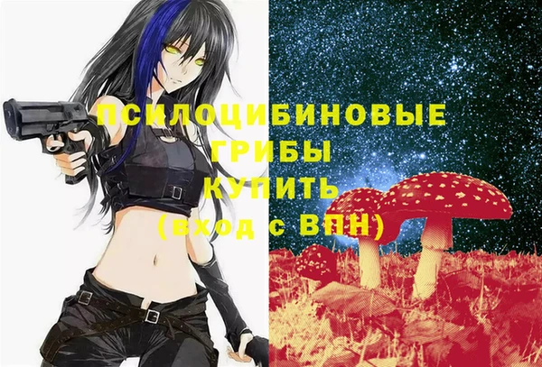 ALPHA PVP Горнозаводск