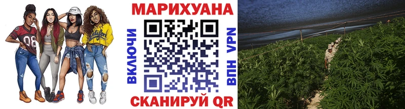 закладка Заозёрный Шишки марихуана SATIVA & INDICA